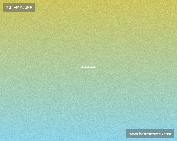 九球最高的赛事有哪些 九球最高的赛事有哪些