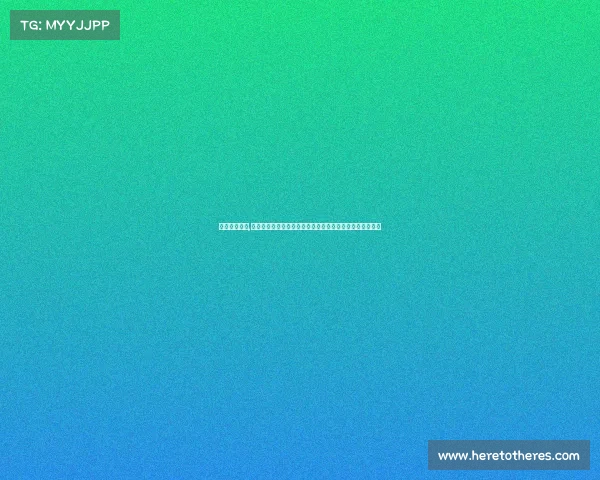 排球相关赛事,中国女排勇夺世界排球锦标赛桂冠激战奥运资格赛精彩瞬间