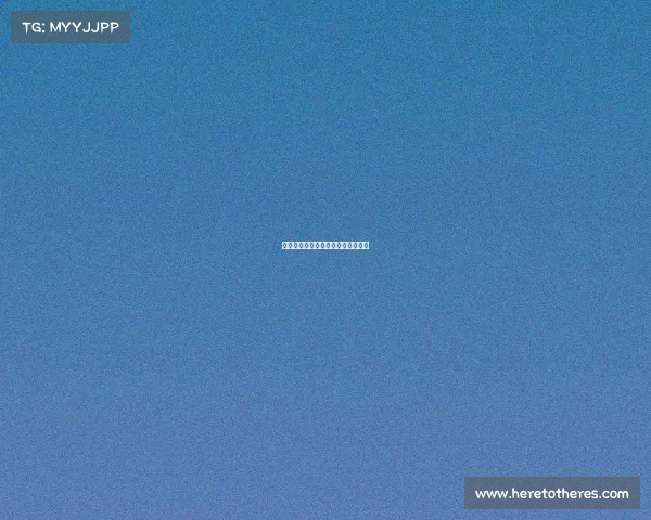 青训联盟杯青少年足球俱乐部锦标赛