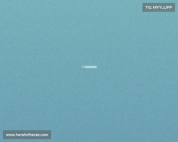 17号世界被赛事打败