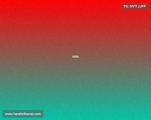 搏击类运动 搏击类运动